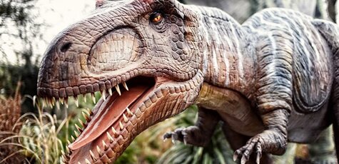 парк динозавров в Виннице! Открытие!
